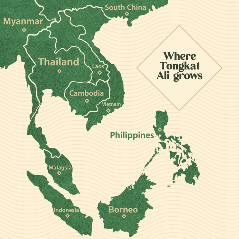 Where does Tongkat Ali grow? A map of its origin.